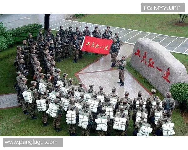 西安乒乓球队的奋斗与荣耀：一段逆袭之旅的真实记录与感悟