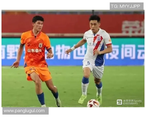 西安篮球队在杯赛中的耐力表现分析与战术探讨