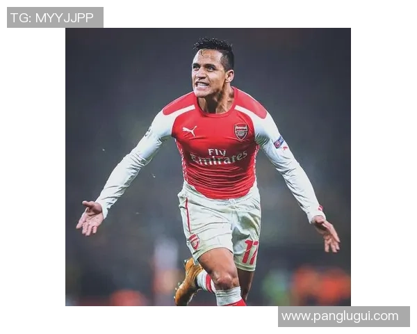 足球传奇亨利的国籍揭秘及其对足球的影响与贡献